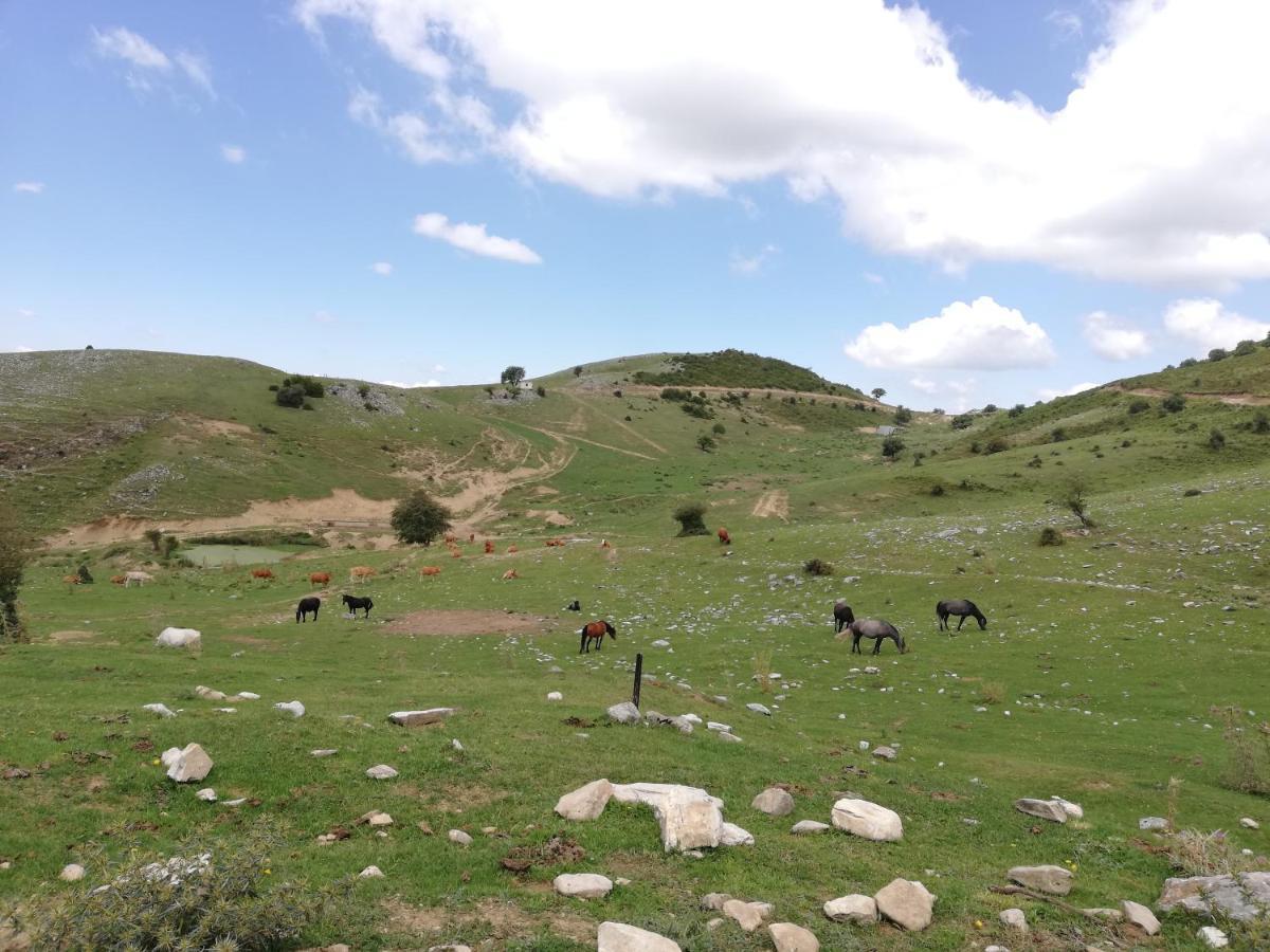Olympus Country House Karia  Dış mekan fotoğraf
