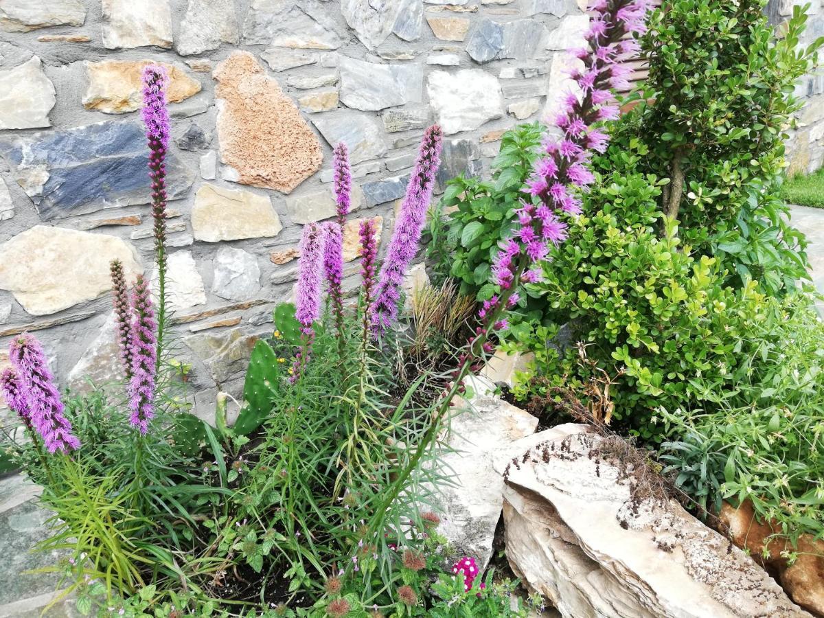 Olympus Country House Karia  Dış mekan fotoğraf